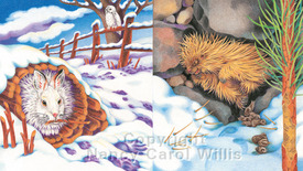 Animals Winter Sleep Sample content pg 4-5